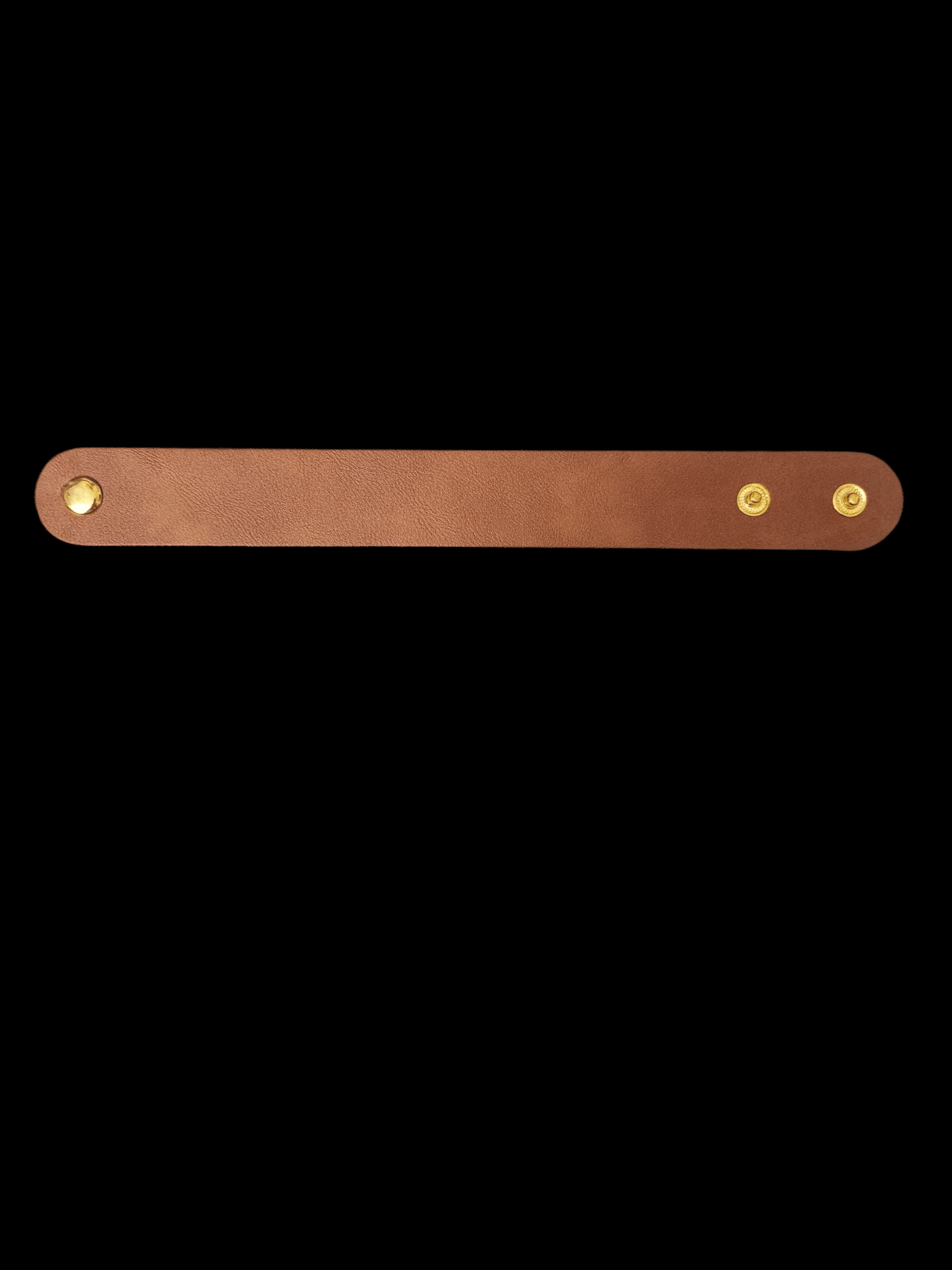 Brown leather strap with three gold rivets on black background.