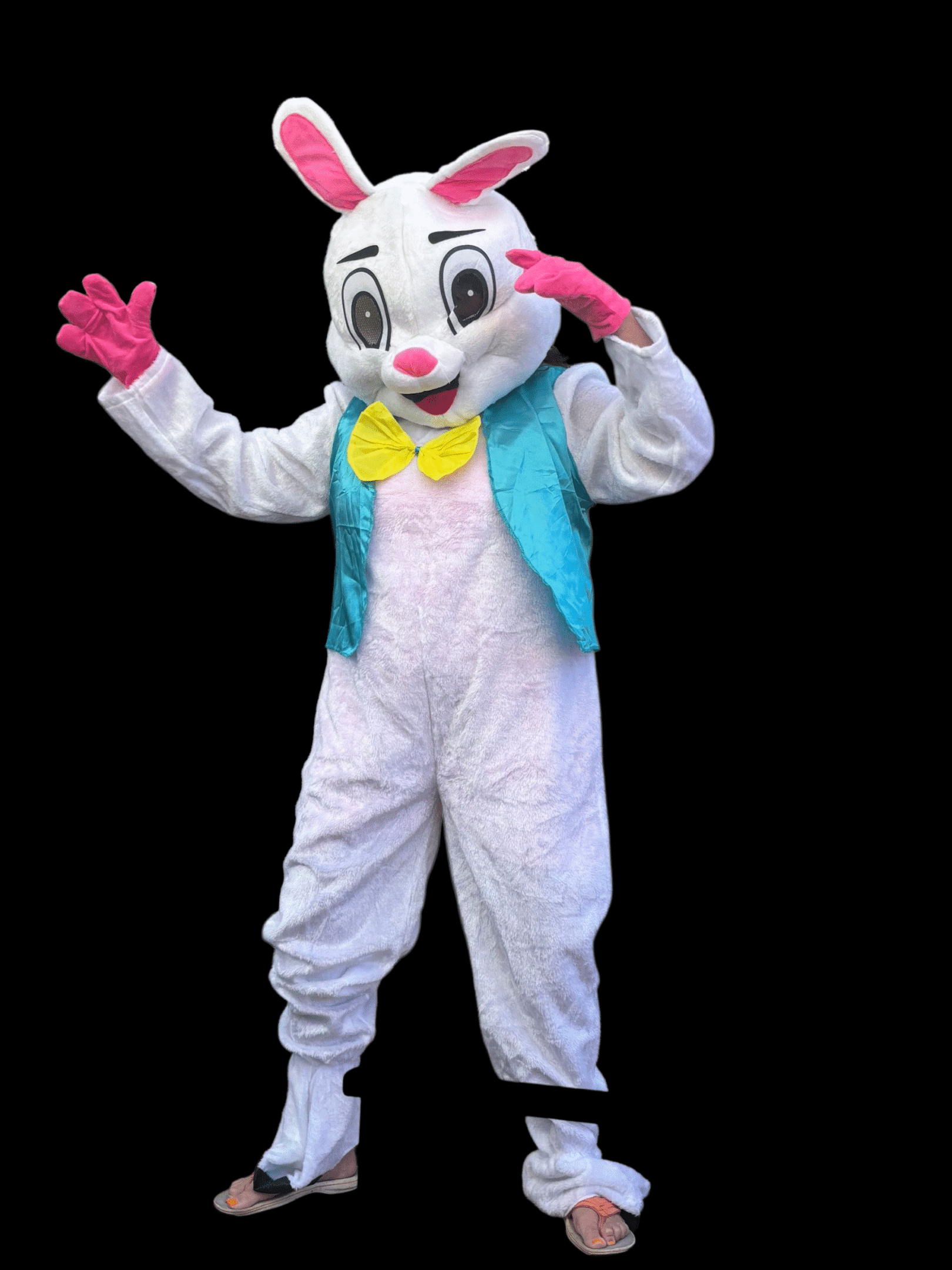 Person in a white bunny costume with a blue vest and yellow bow tie.