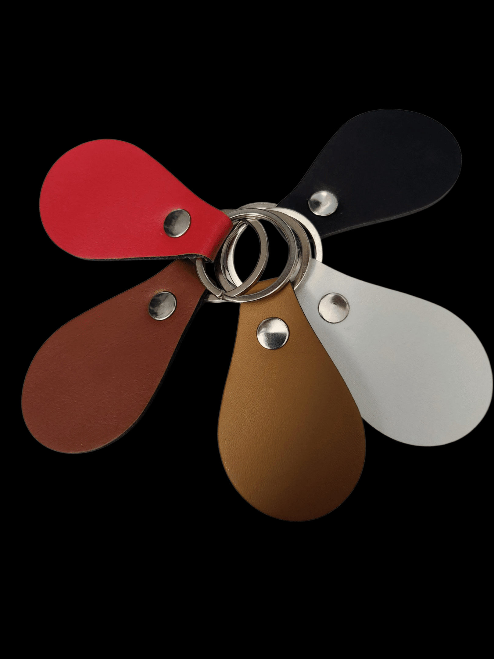 A set of five color swatches on metal rings against a black background.