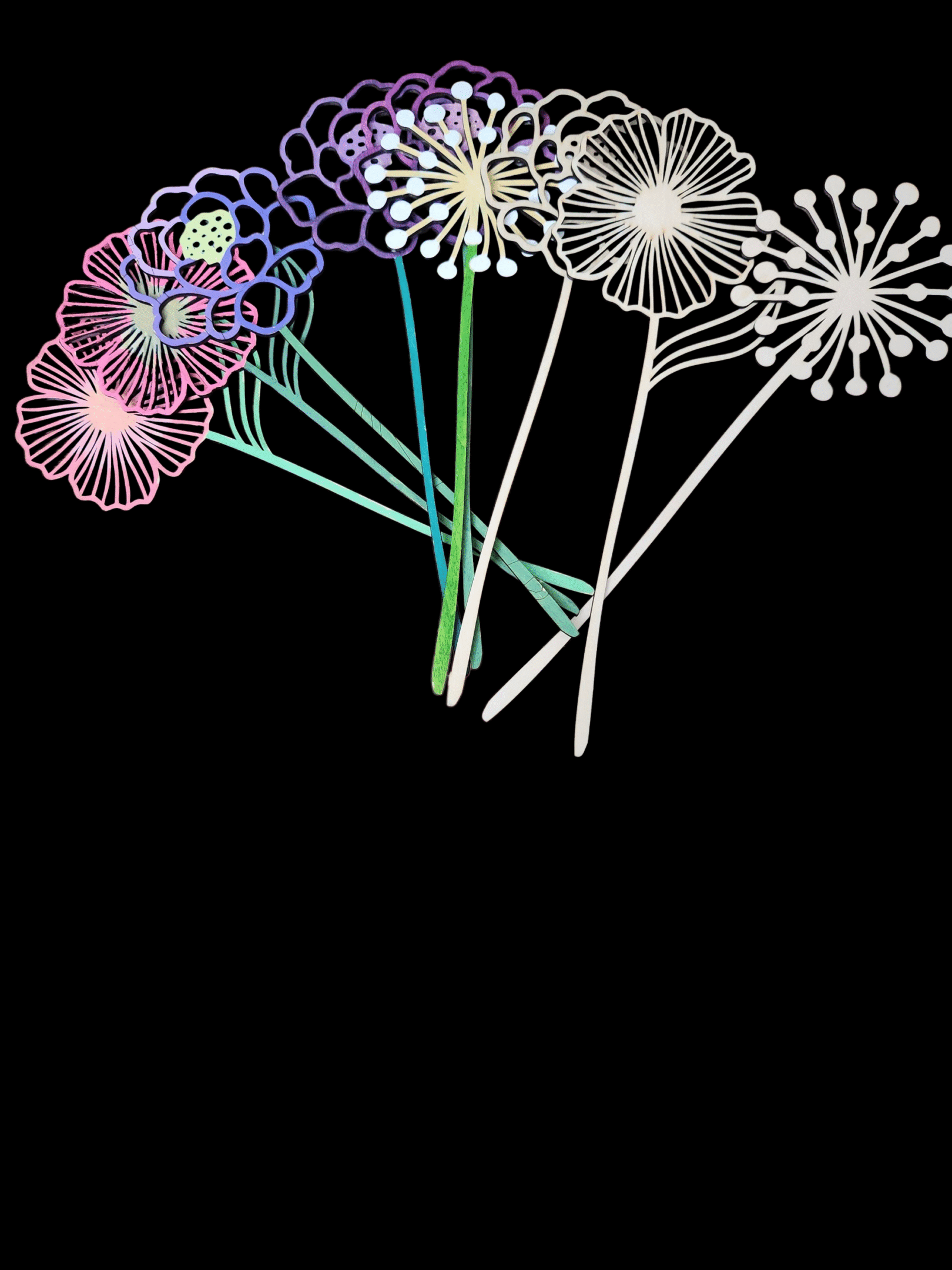 Colorful neon dandelion-like flowers on black background.